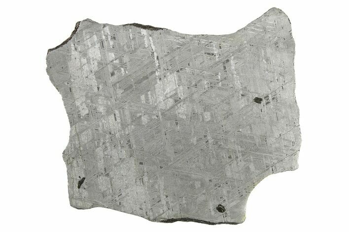 Etched Gibeon Iron Meteorite ( g) Slice - Namibia #266417